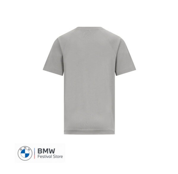 BMW M T-shirt mens - Grey, XXL