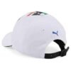 BMW M Motorsport Roy Lichtenstein Cap Unisex