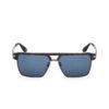 BMW Sunglasses - Havana Frame